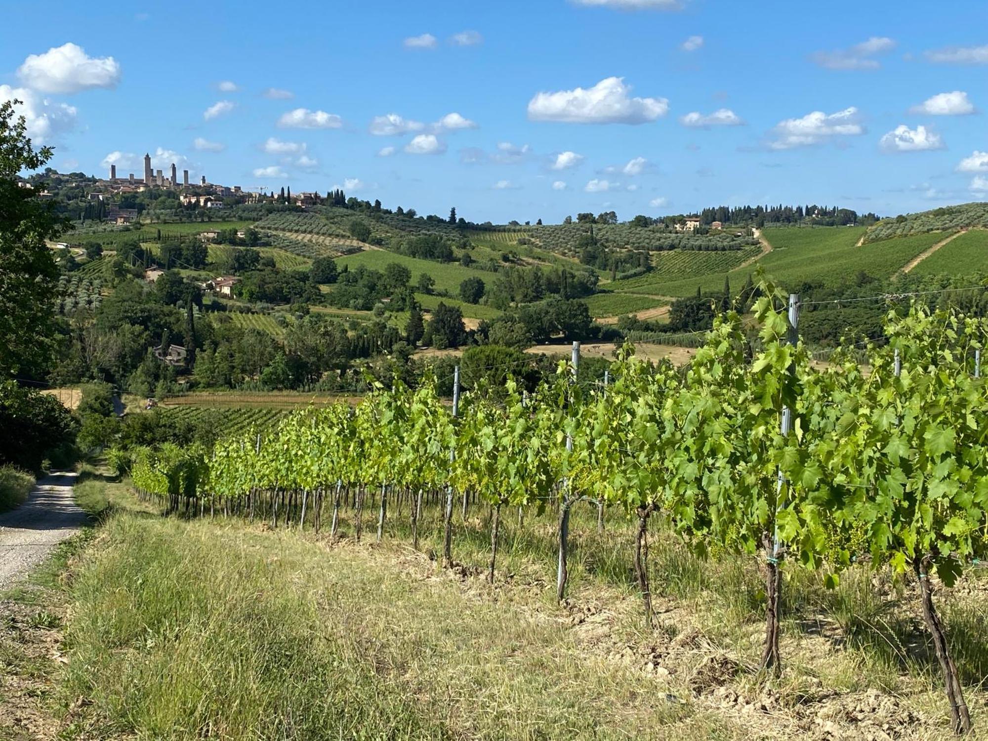 Podere Casanuova ซานจีมิญญาโน ภายนอก รูปภาพ