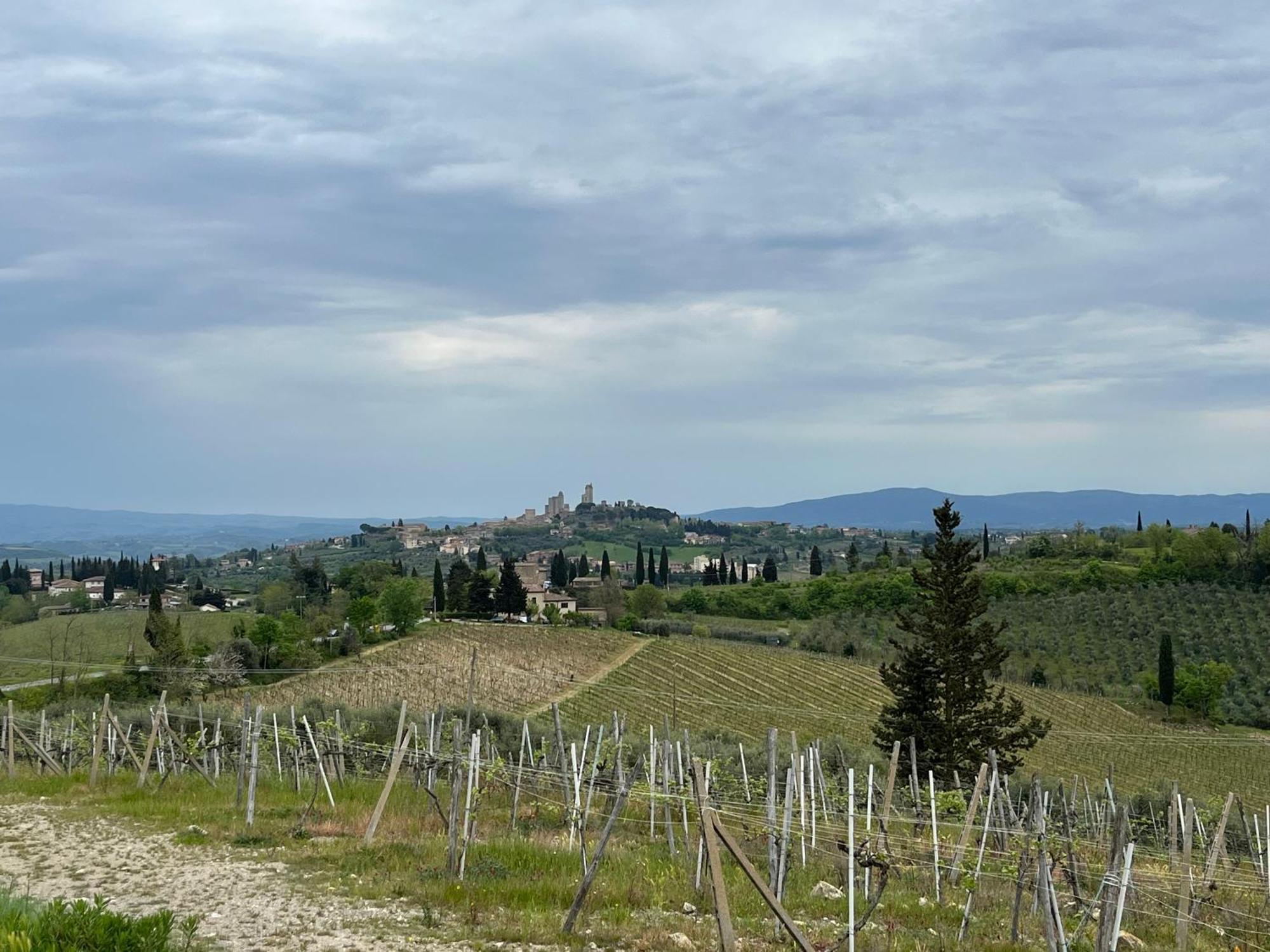 Podere Casanuova ซานจีมิญญาโน ภายนอก รูปภาพ