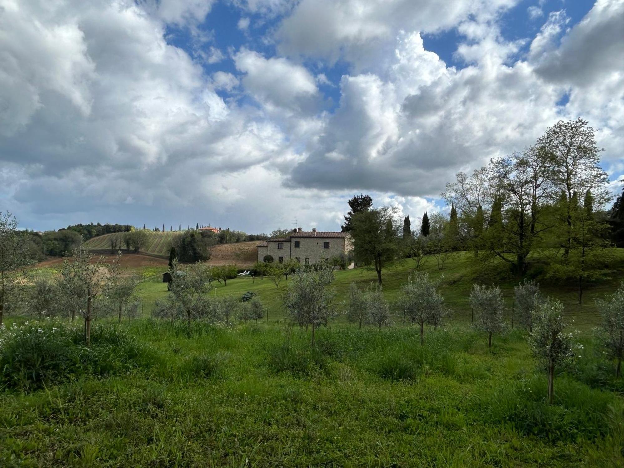 Podere Casanuova ซานจีมิญญาโน ภายนอก รูปภาพ