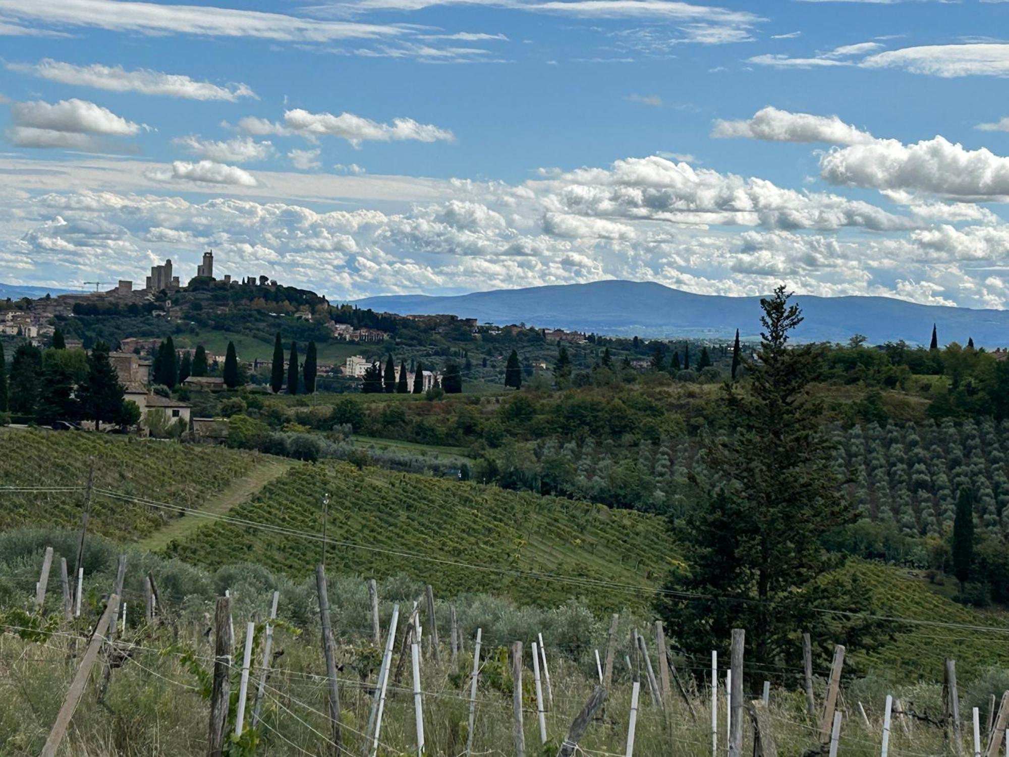 Podere Casanuova ซานจีมิญญาโน ภายนอก รูปภาพ