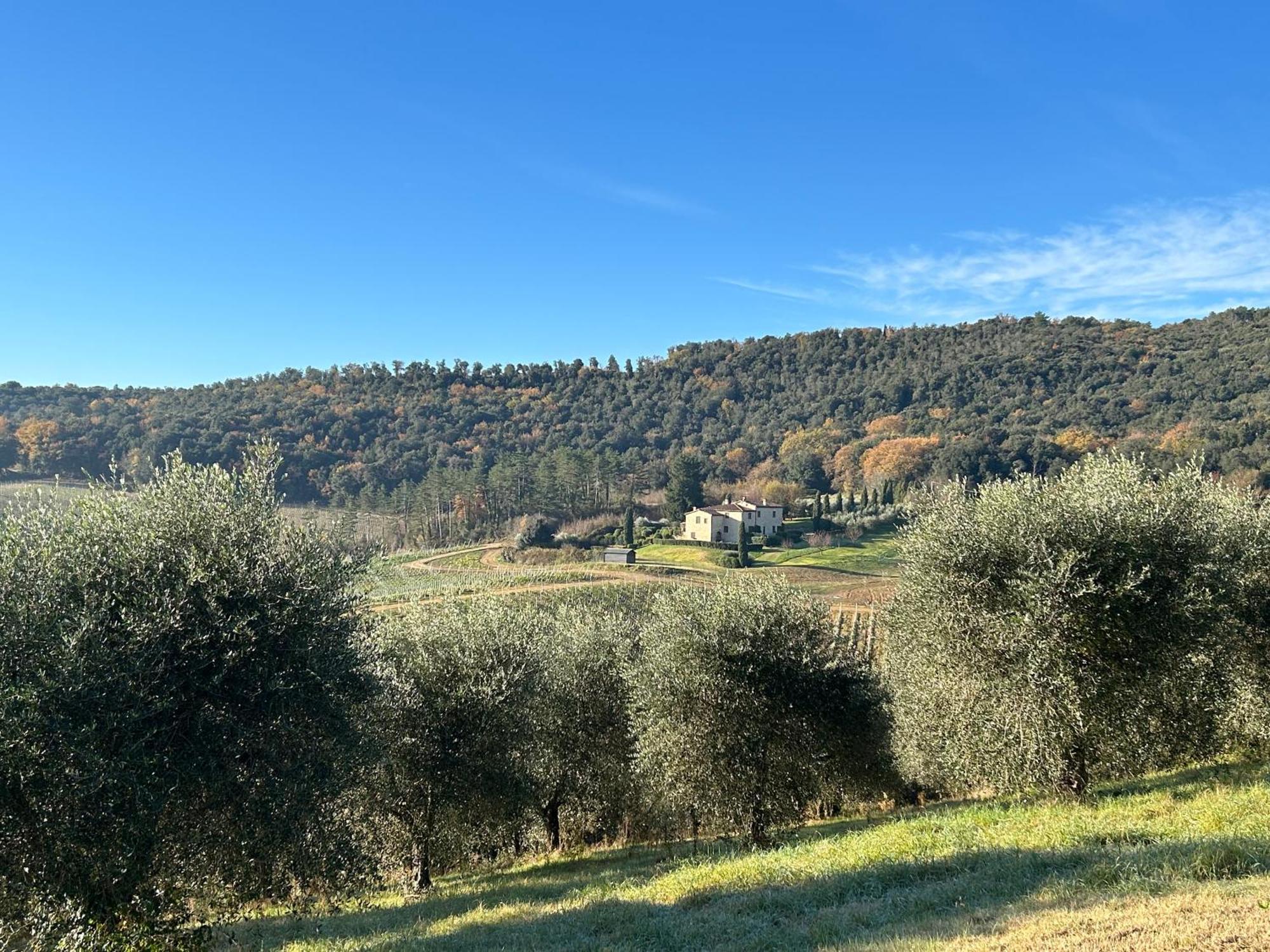Podere Casanuova ซานจีมิญญาโน ภายนอก รูปภาพ