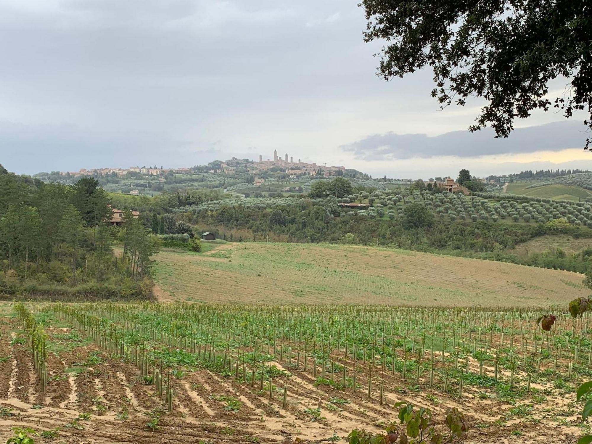 Podere Casanuova ซานจีมิญญาโน ภายนอก รูปภาพ