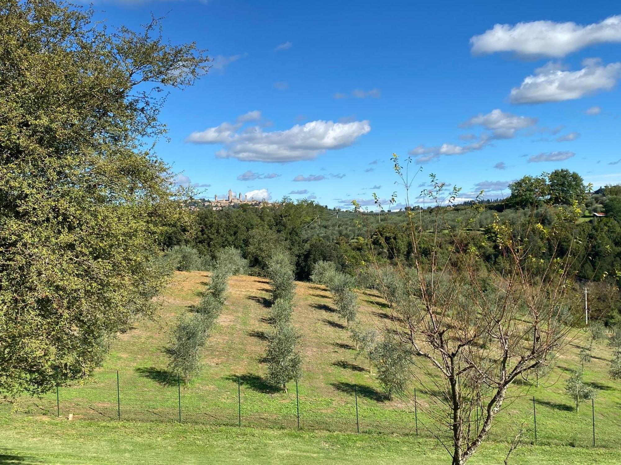 Podere Casanuova ซานจีมิญญาโน ภายนอก รูปภาพ