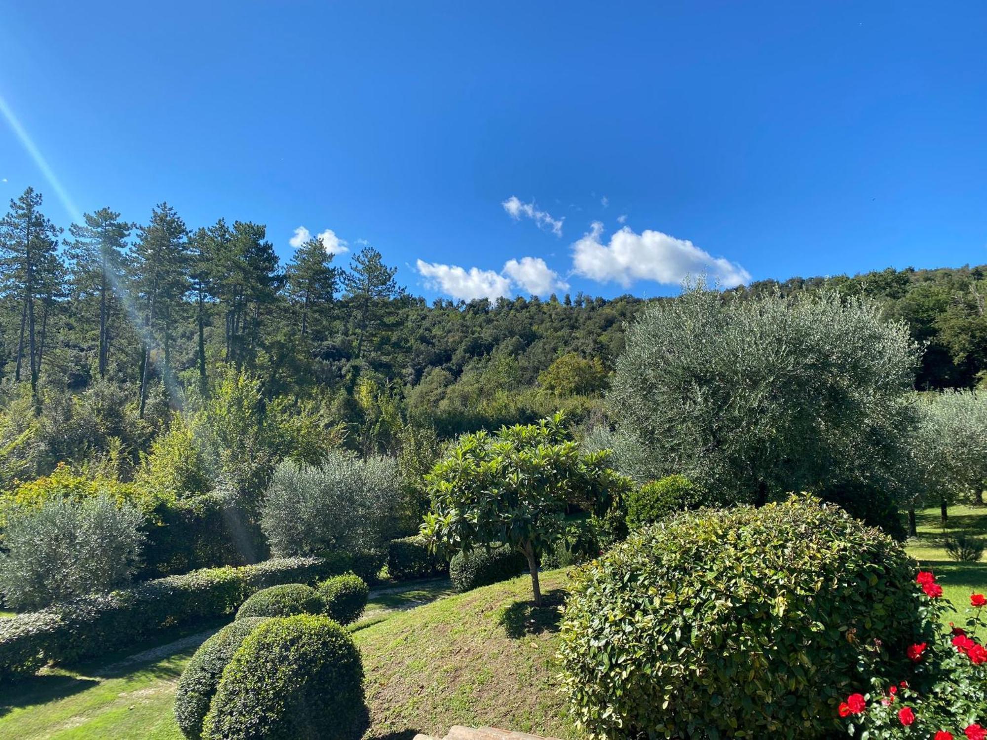 Podere Casanuova ซานจีมิญญาโน ภายนอก รูปภาพ