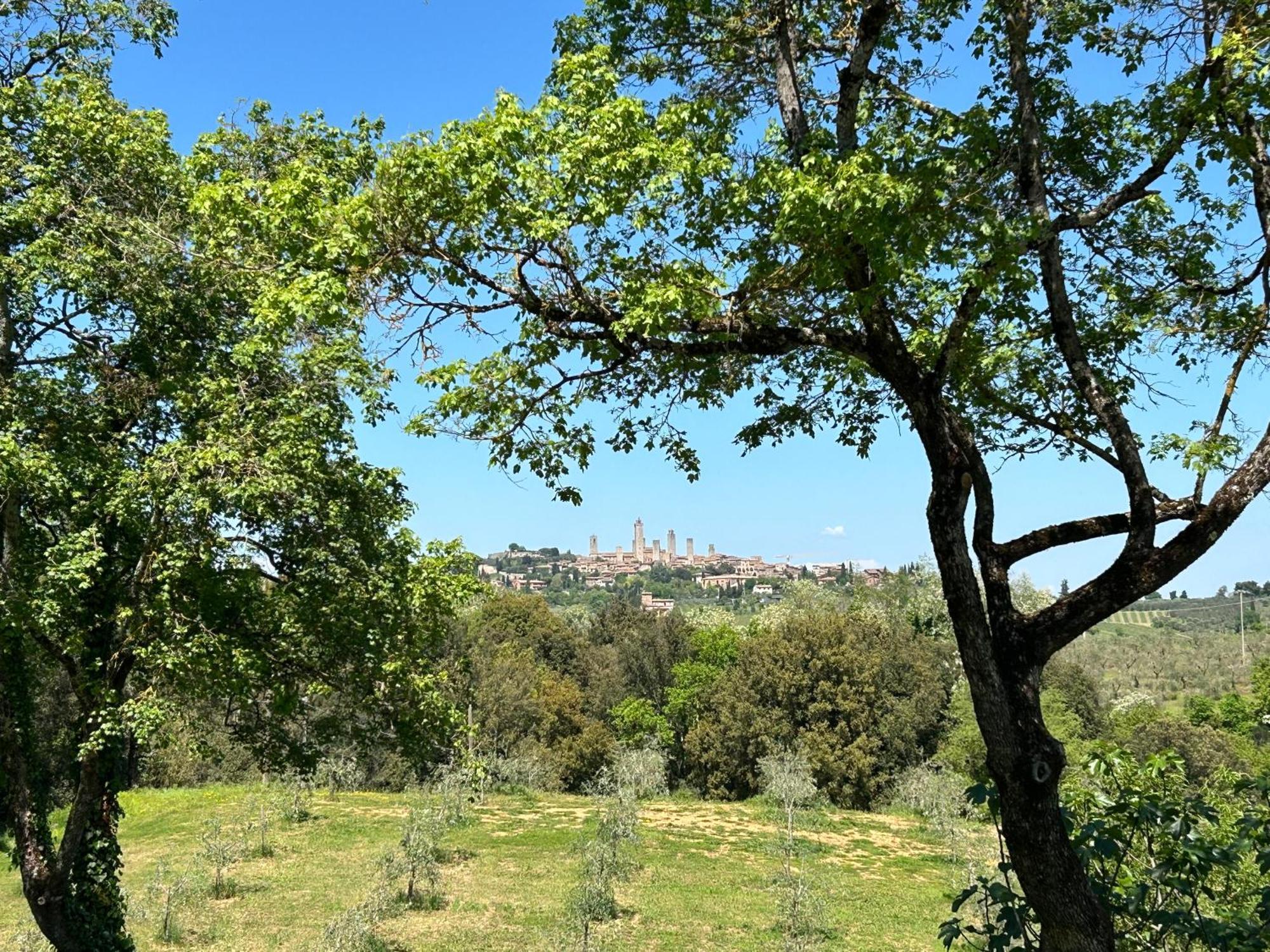 Podere Casanuova ซานจีมิญญาโน ภายนอก รูปภาพ