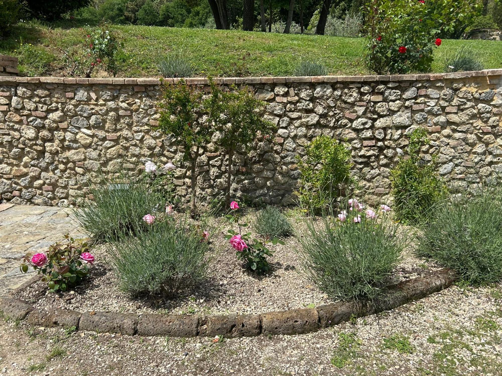 Podere Casanuova ซานจีมิญญาโน ภายนอก รูปภาพ